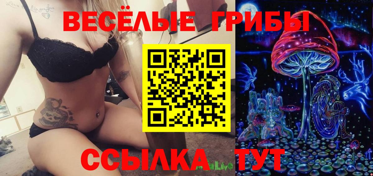 Псилоцибиновые грибы MAGIC MUSHROOMS Симферополь